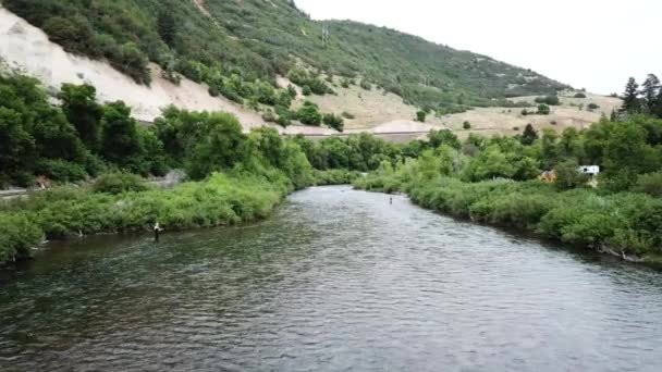 Drone Tiro Aproximando Homem Fly Fishing Rio Provo Nas Montanhas — Vídeo de Stock