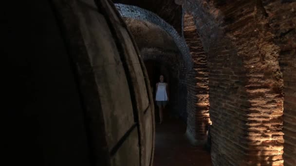 Жінка Відвідує Класичний Підвал — стокове відео