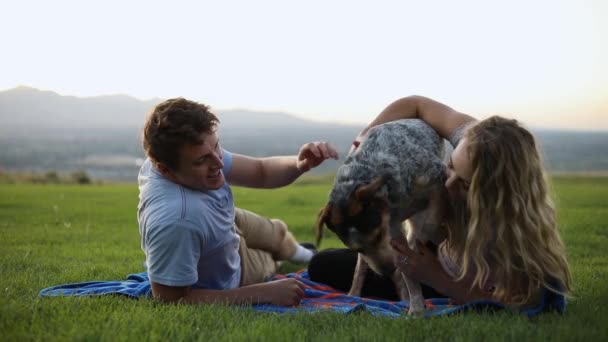 Slow motion shot of a cute boyfriend and girlfriend laying on a blanket and having a picnic on the grass while playing with their pet dog.
