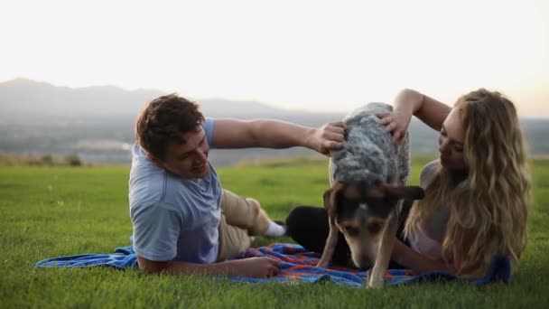 かわいい彼氏とガールフレンドのショット毛布の上に横たわって 彼らのペット犬と遊んでいる間 草の上にピクニックを持っている — ストック動画