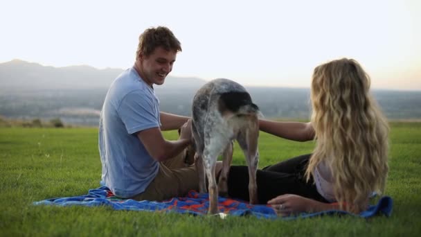 かわいいボーイフレンドとガールフレンドのスローモーションショット毛布の上に横たわっていると彼らのペット犬と遊んでいる間 草の上にピクニックを持っている — ストック動画