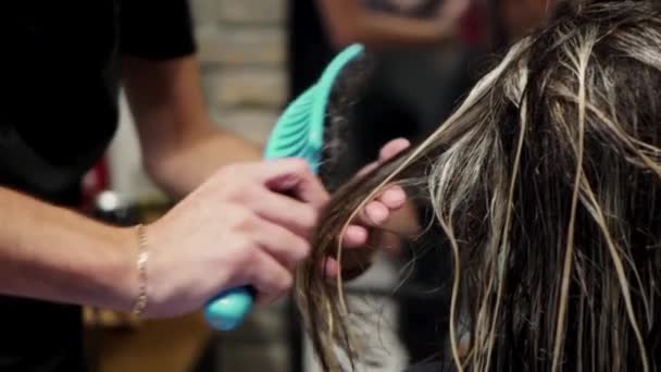 Mulher Recebendo Seu Cabelo Escovado — Vídeo de Stock