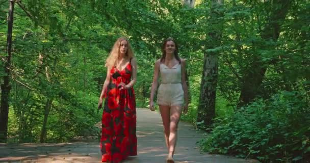 公園を歩いて話している2人の若い女性 笑っておしゃべりしてる 友情と団結 — ストック動画