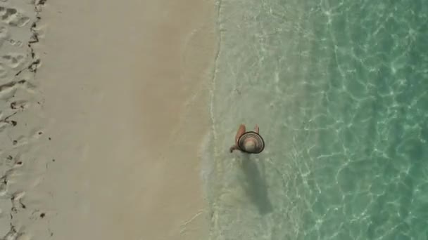 一个女人在美丽的驯鹿海滩上行走的空中无人机垂直录像 — 图库视频影像