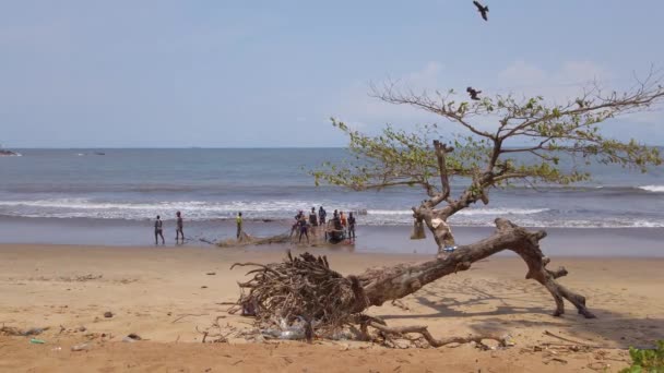 Peche Sur Plage Kribi Cameroun Рыбалка Пляже Криби Камеруне — стоковое видео