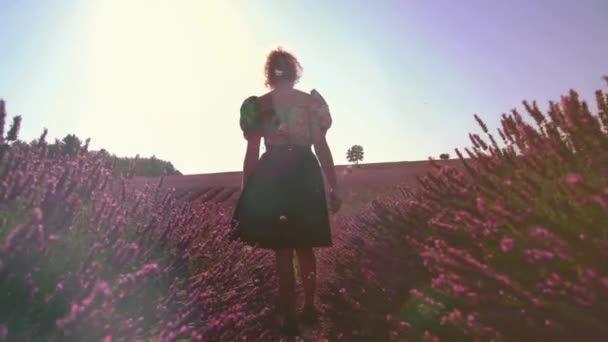 Αργή Κίνηση Σκηνή Ένα Όμορφο Lavender Field Στη Διάσημη Προβηγκία — Αρχείο Βίντεο