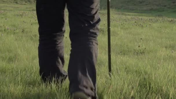 Woman Walking Walking Stick Countryside — Stock Video