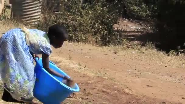 Una Niña Pequeña Trabajando — Vídeo de stock