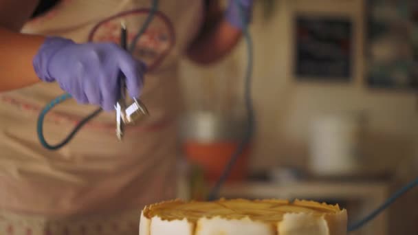 Célébration Gâteau Fabrication Travailleurs Aérographe Cerise Sur Gâteau Dans Atelier — Video