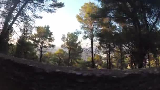 Castillo Jaen Spanien Jaen Castle Fliegen Und Bodenaufnahmen Von Dieser — Stockvideo