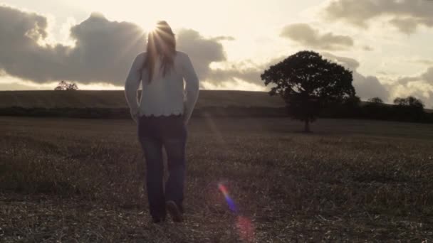 Жінка Ходить Сільськогосподарському Полі Вівса Після Збору Врожаю Сонці — стокове відео