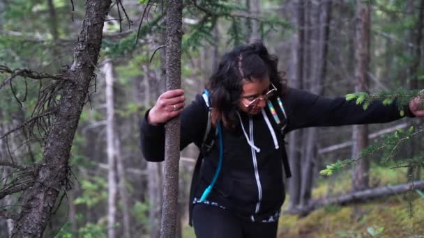 インドの女の子それを見つけることは難しい木の領域を登る ハンドヘルドフォロー — ストック動画