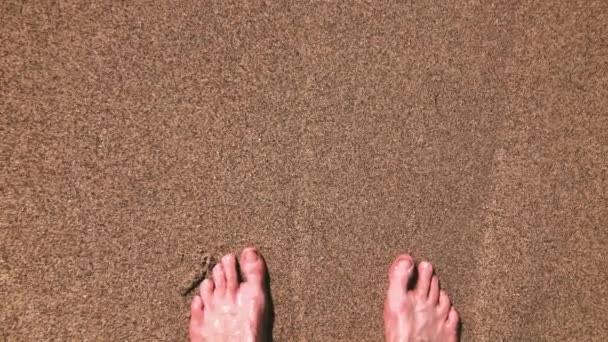 Close Tiro Pés Homem Enquanto Estava Uma Praia Areia Com — Vídeo de Stock