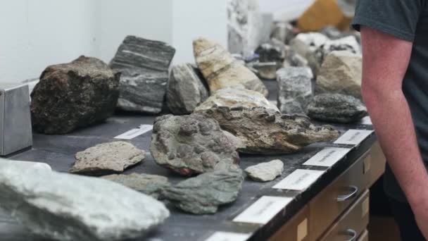 Högskolestudenter Som Studerar Big Rocks Geologiklass — Stockvideo