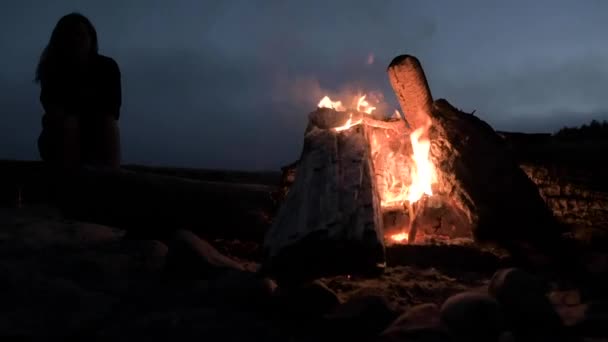 Bir Kütüğün Üzerinde Oturan Geceleri Kamp Ateşinin Yanında Isınan Kız — Stok video