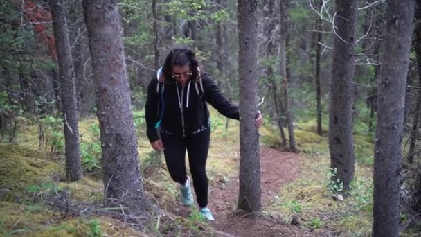 Ung Indian Kvinna Promenader Upp Utmanande Skogsväg Kanada Handhållen Slowmo — Stockvideo