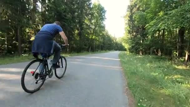 Homem Anda Bicicleta Pela Floresta Movimento Lento — Vídeo de Stock