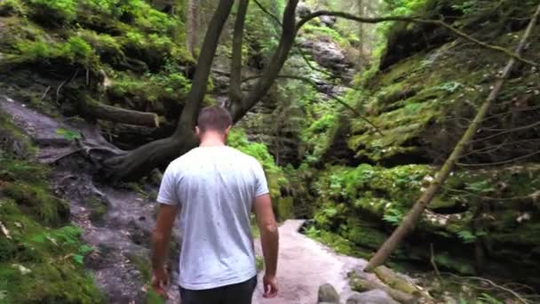 Mannelijke Toerist Loopt Door Groene Canyon — Stockvideo