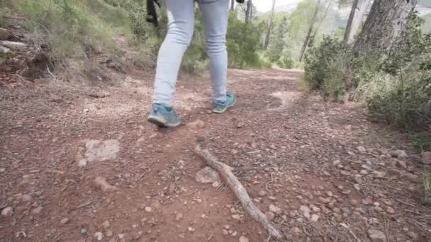 Escursionista Con Zaino Sta Camminando Lungo Sentiero Nel Bosco — Video Stock