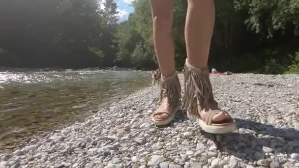 Lento Movimento Mulher Andando Margem Rio Intocada Pequeno Yorkie Cão — Vídeo de Stock