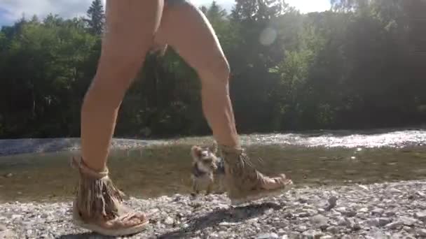 Donna Che Cammina Sulla Riva Del Fiume Pulita Incontaminata Piccolo — Video Stock