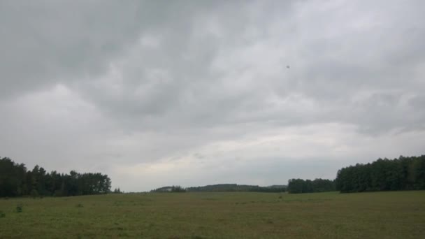 Winderige Dag Met Wolken Een Veld Met Bomen Horizon — Stockvideo