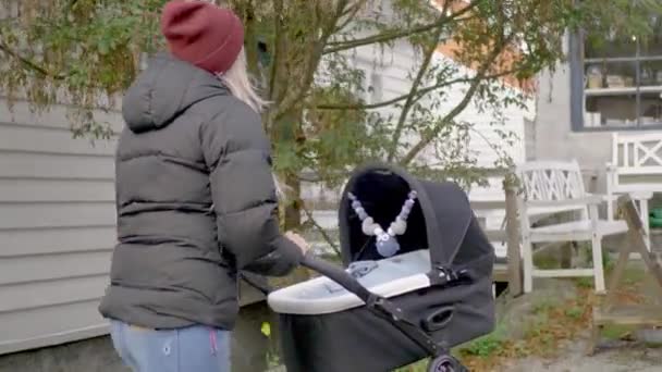 冬の帽子の母親は 新生児の男の子を祈りの中で押しています 市街地の風景 — ストック動画