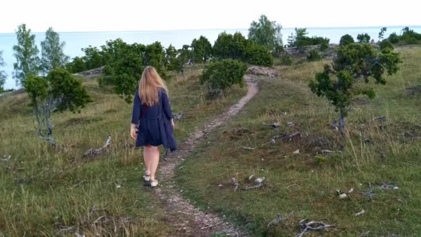 Vista Estática Una Mujer Cárdigan Azul Caminando Por Sendero Naturaleza — Vídeos de Stock