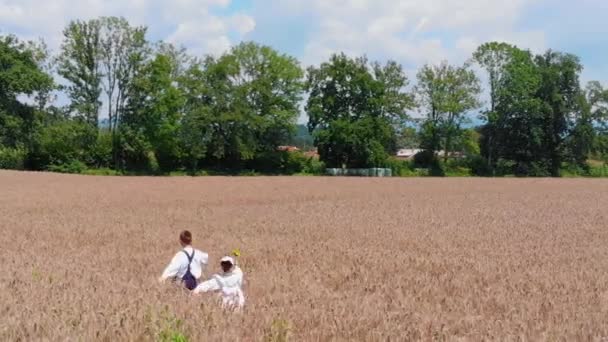 Pemandangan Udara Dari Dua Anak Yang Berlari Melewati Ladang Gandum — Stok Video