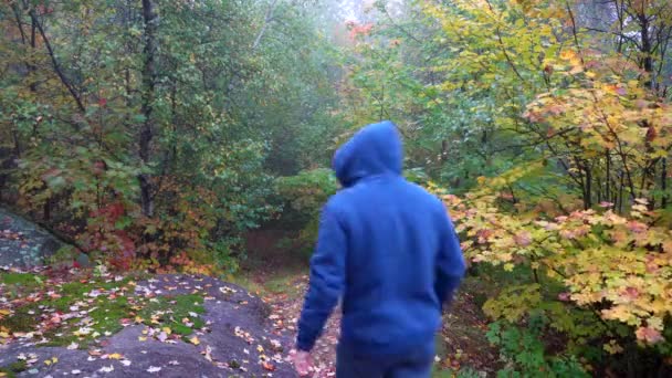 Man Walkin Forest Trail East Canada Autumn — Stok Video