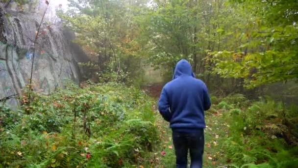 カナダ東部の森のトレイルで男が歩く秋 — ストック動画