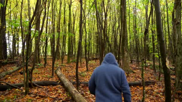 Seorang Pria Berjalan Atas Gunung Hutan Musim Gugur Kanada — Stok Video
