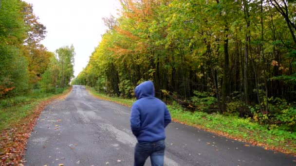 Man Berjalan Jalan Kecil Dikelilingi Oleh Maple Daun Maple Musim — Stok Video