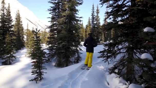 Turista Projíždí Lesem Sněžnicemi — Stock video