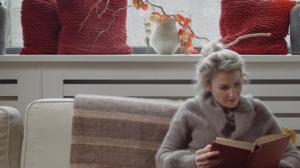 Wideshot egy fiatal nő olvas egy könyvet egy modern kanapén a nappaliban, miközben boldognak érzi magát, és inspirálta a hely a szöveges