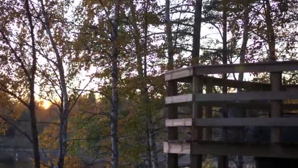 Kleiner Junge Einem Aussichtsturm Genießt Schöne Aussicht Auf Den See — Stockvideo