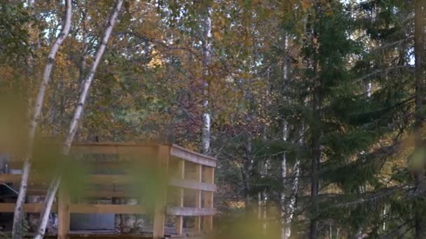 Camera moving through defocused leaves pointing at young boy enjoying autumn landscape view from lookout tower
