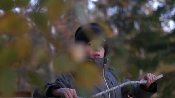 Portrait Photo Jeune Garçon Mignon Regardant Caméra Dans Paysage Automne — Video