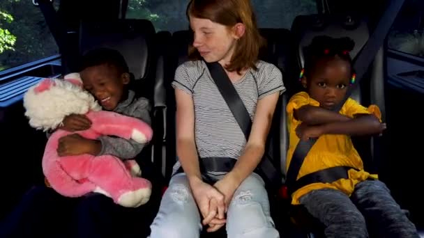 Anak Anak Kursi Belakang Mobil — Stok Video