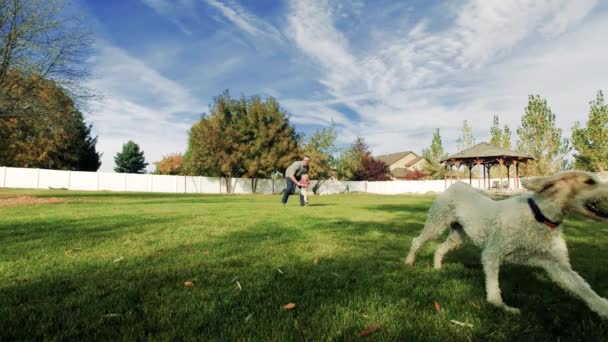 幼い父親が娘と犬と庭で遊んでいる 犬を追いかけて草の上を走り回る — ストック動画