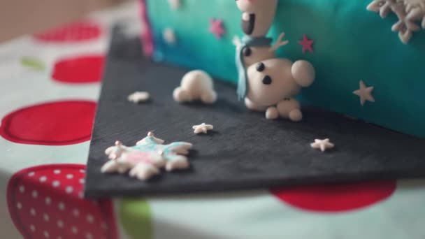 Overhead Shot Panning Finished Winter Themed Birthday Cake Cake Shaped — Stock Video