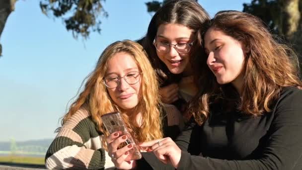 Trois Jeunes Filles Regardant Smartphone Ensemble Dans Cadre Parc — Video