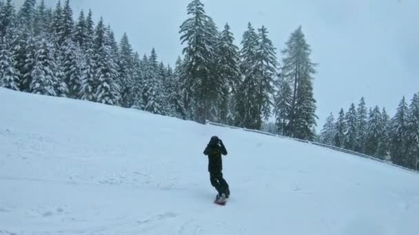 Tonåring Snowboard Nedförsbacke Snö Paradis — Stockvideo