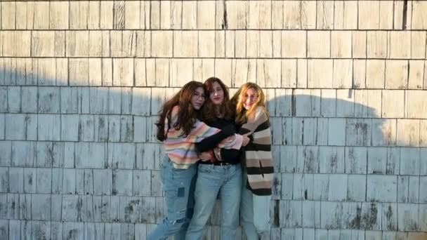 中拍肖像三个姐妹抱在怀里 — 图库视频影像