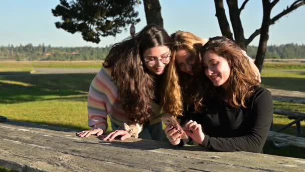 Chicas Adolescentes Mirando Juntos Teléfono Inteligente Parque Ajuste Tiro Medio — Vídeos de Stock