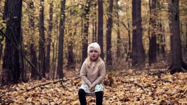 小女孩在秋天的森林里抛掷落叶 动作缓慢 — 图库视频影像