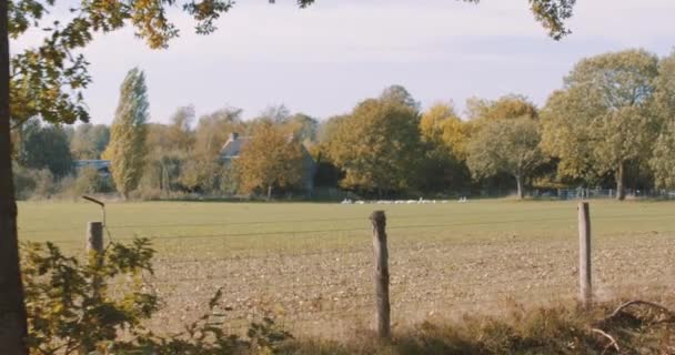 Живописное Сельское Поле Осенью Панорамирует Симпатичную Улыбающуюся Европейскую Мотоциклистку Кожаной — стоковое видео