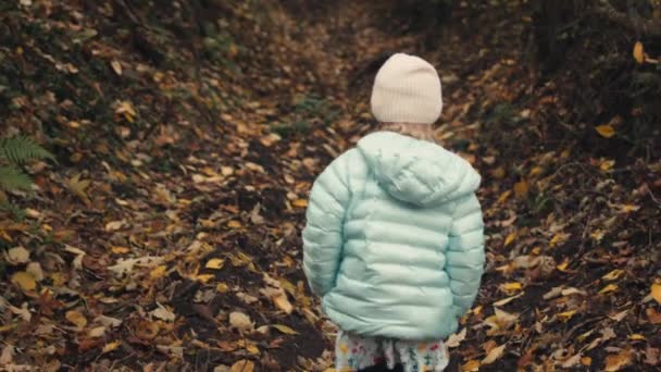 Young Girl Winter Coat Follows Dog Autumn Path Woods Slow — Stock Video