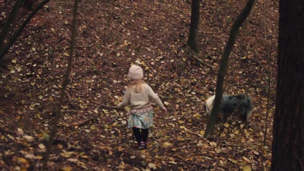 Menina Corre Colina Abaixo Coberto Folhas Outono Com Cão Nas — Vídeo de Stock