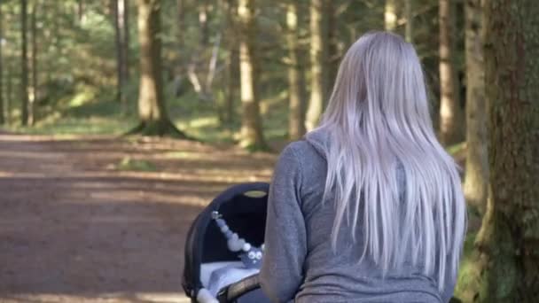 Ung Mor Knuffar Nyfödda Barn Barnvagn Längs Skogen Vildmarksstig Solig — Stockvideo